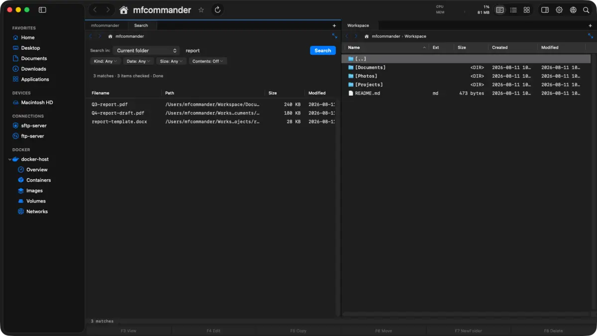 Search tab in the dual-pane workspace